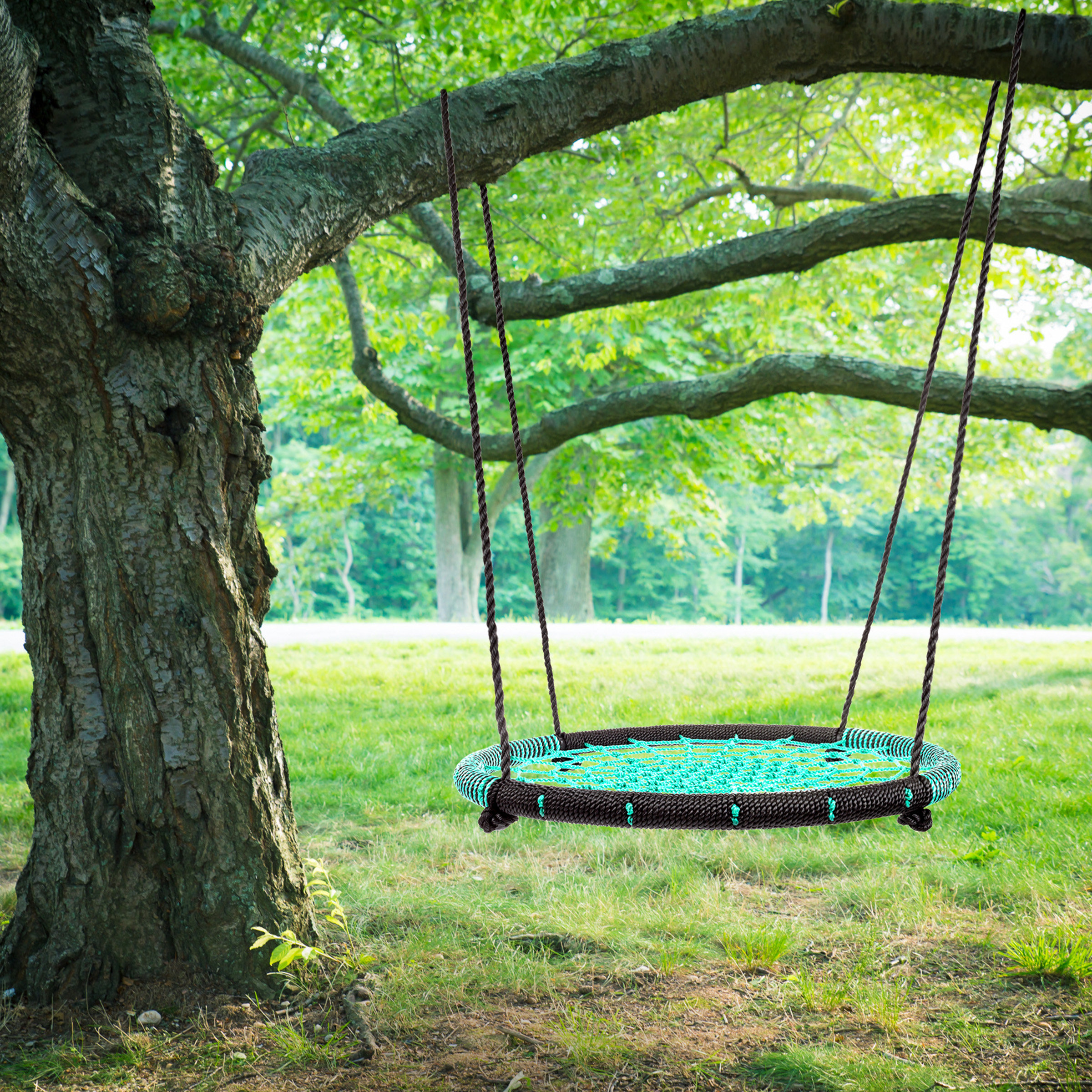 Hey Play Spider Web Tree Swing Seat with Chains Reviews Wayfair